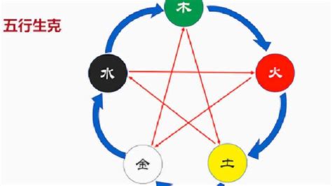 我精通五行|你真正了解‘五行’吗？